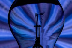 IMG_2900