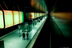 IMG_0610 IMG_0610
