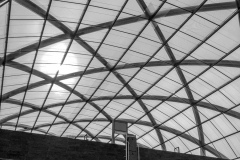 IMG_0612 IMG_0612