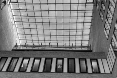 IMG_0884 IMG_0884
