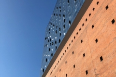 IMG_0910 IMG_0910