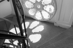 IMG_0993 IMG_0993