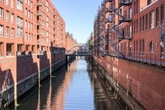 IMG_1077 IMG_1077
