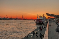 IMG_1157-2 IMG_1157-2