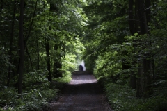 IMG_3192 IMG_3192
