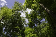 IMG_3195 IMG_3195