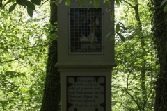 IMG_3244 IMG_3244