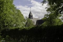 IMG_3246 IMG_3246
