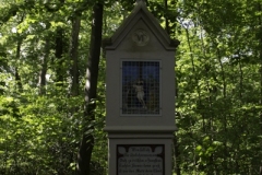 IMG_3249 IMG_3249