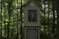 IMG_3252 IMG_3252
