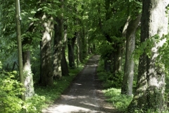 IMG_3263 IMG_3263