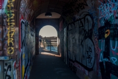 P1000291