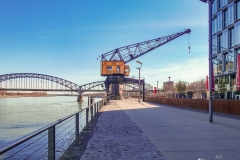 P1000307