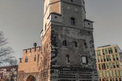 P1000342