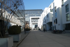 P1000346