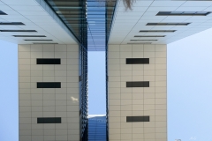 P1000365