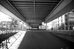 P1000386