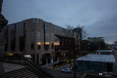 LR-IMG_3544