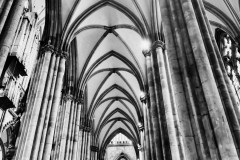 IMG_9120