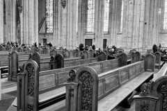 IMG_9136_1