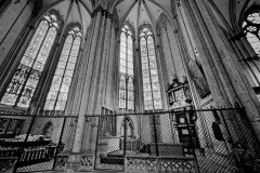 IMG_9165