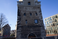 IMG_8781