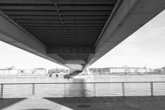 IMG_8813