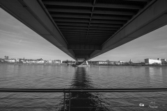 IMG_8855