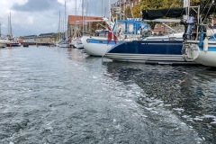IMG_5737