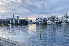 IMG_5821