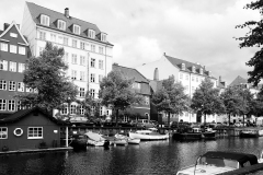 IMG_6010