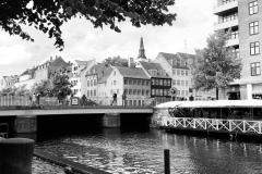 IMG_6011