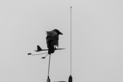 P1040737