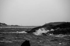 IMG_8787