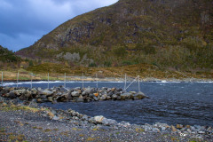IMG_8854