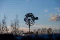 NZ7_7005