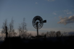 NZ7_7006