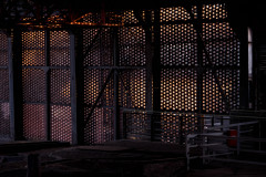 NZ7_7034