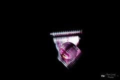 IMG_9949