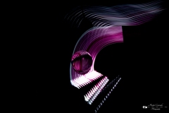 IMG_9952