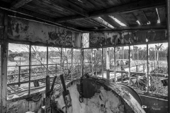 IMG_8594