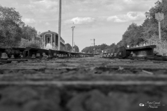 IMG_2650