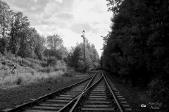 IMG_2665