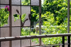 IMG_1739 IMG_1739