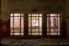 IMG_1743 IMG_1743