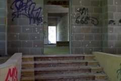 IMG_1773 IMG_1773