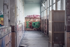 IMG_1810 IMG_1810