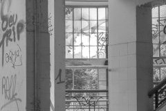 IMG_1877 IMG_1877