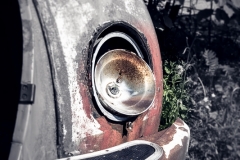 IMG_1934 IMG_1934