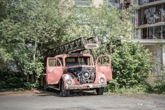 IMG_1960 IMG_1960